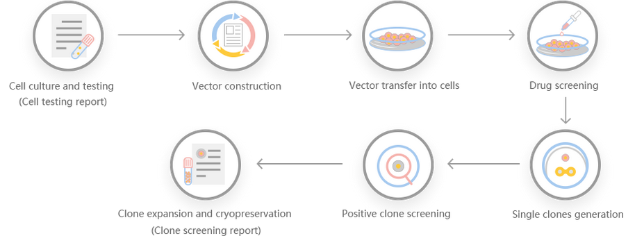 Ubigene Red Cotton Workflow