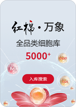 源井 · KO细胞